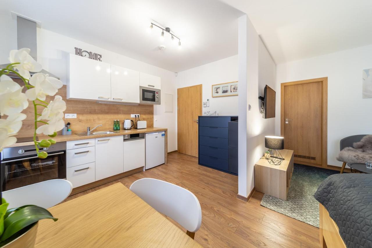 Aviatik Apartments Ceske Budejovice Exterior photo